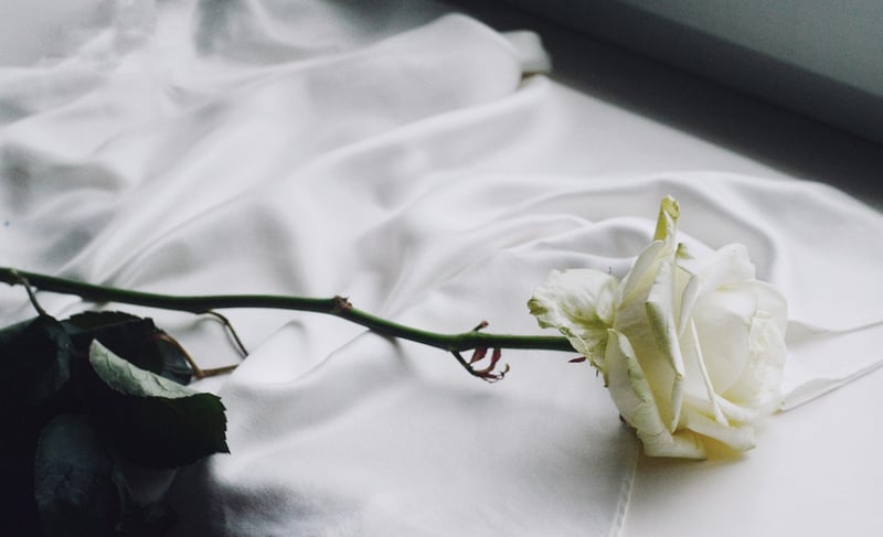Vintage Rose